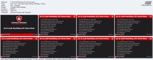 AI & LLM Ethical Hacking & Penetration  Testing 82e91721764058c58c8d8c782b97217f