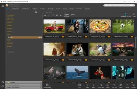 IDimager Photo Supreme 2024.2.2.6626 Multilingual (x64) 