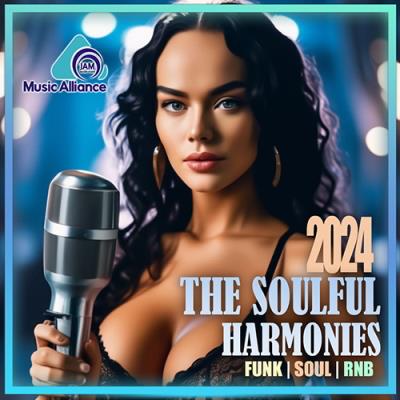 VA - The Soulful Harmonies (2024) (MP3)