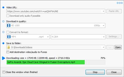 Robin YouTube Video Downloader Pro  6.10.1