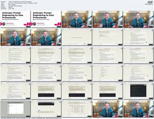 Anthropic: Prompt Engineering for Data  Professionals 9832ef69345b226cb80db2318fbe8000