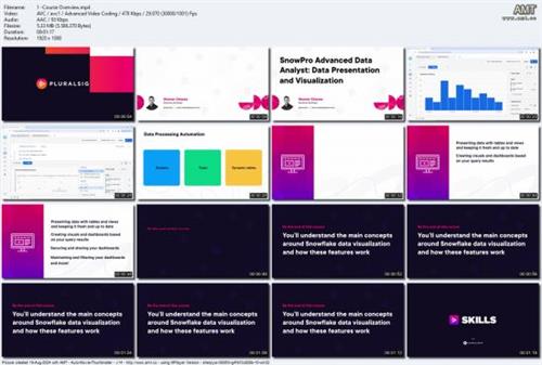 SnowPro Advanced Data Analyst Data Presentation and  Visualization