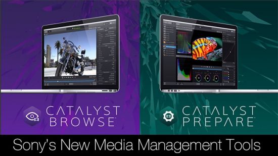 Sony Catalyst Browse / Prepare Suite 2024.1.1