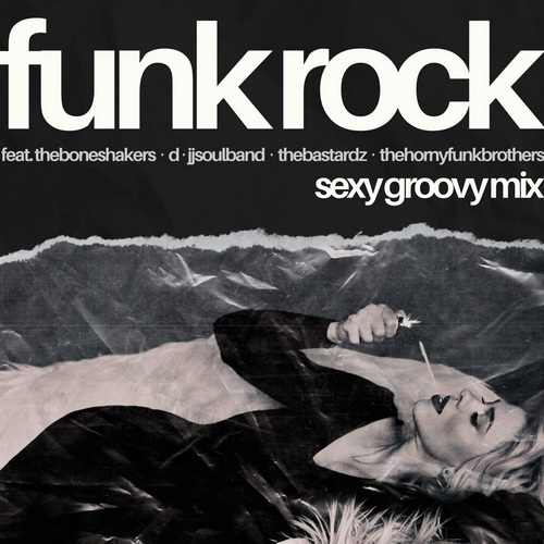 Funk Rock Sexy Groovy Mix (2024) FLAC