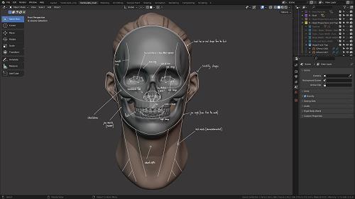 Master Sculpting Heads (V1.3) – 3D Blender Course