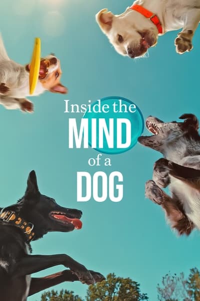 Inside The Mind Of A Dog (2024) 2160p 4K WEB 5 1-LAMA F1469a1b54d5023b20ac644a15da4a28