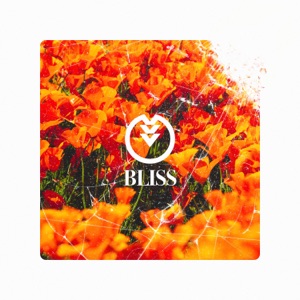 Cartographer - Bliss (Single) [2024]