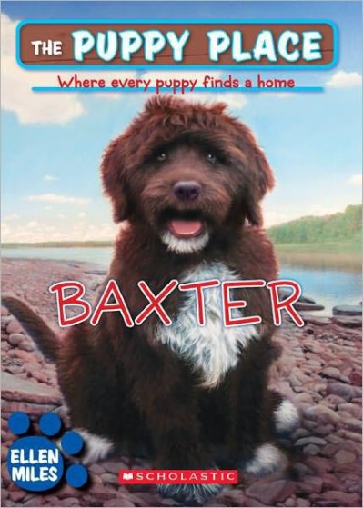 Baxter - Ellen Miles C937e3b15212a0ed658906ba071c4b04