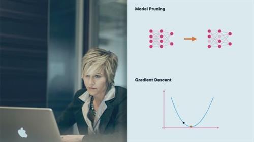 Optimizing Neural Networks for Efficient Data  Processing