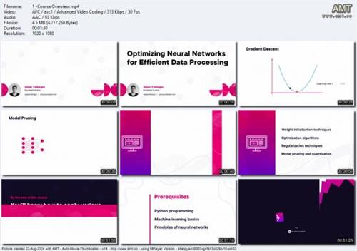 Optimizing Neural Networks for Efficient Data  Processing