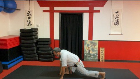 Dissect The Dissection Of Isshinryu Karate – Kusanku Bunkai