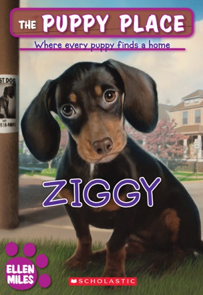 Ziggy - Ellen Miles A3244d3d3f6981bda9071a11f01eb841