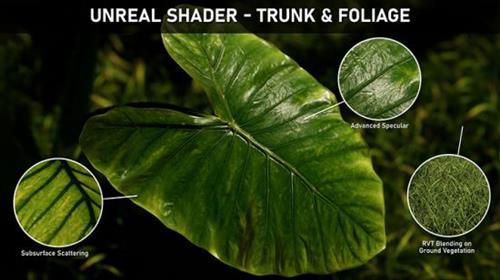 ArtStation – Unreal Shader Trunk & Foliage