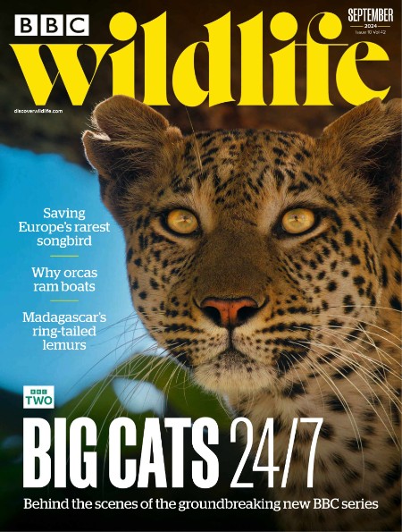 BBC Wildlife - September 2024