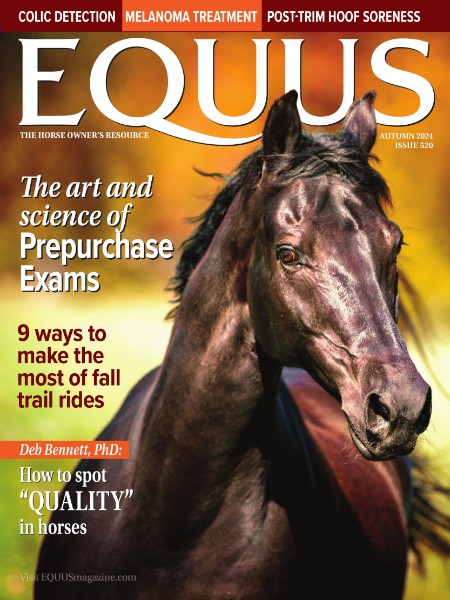 EQUUS - Fall 2024 Dec26b4fdee0eee12876ce2d57ee5de2