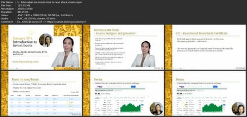 Investment Portfolio - Gics Stocks Funds Etfs  Reits