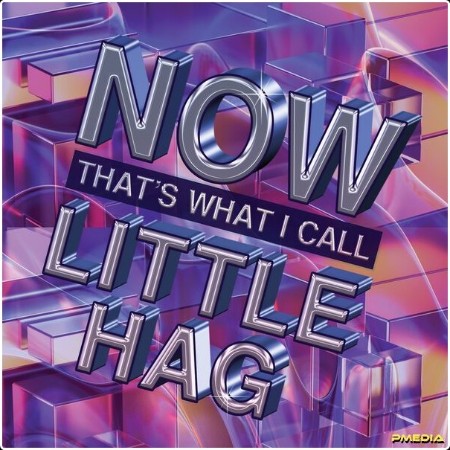 Little Hag - Now That's What I Call Little Hag (2024) [24Bit-44 1kHz] FLAC  7c9c94c7de3d3c1d341401e4723d59b3