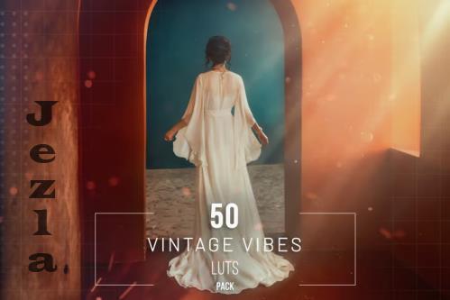 50 Vintage Vibes LUTs Pack - 281823306