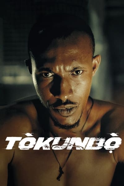 Tokunbo (2024) 1080p WEBRip x265-DH 511362cd75cc9f13042a58840b160d12