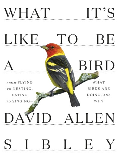 What It's Like to Be a Bird (Adapted for Young Readers): From Flying to Nesting, E...