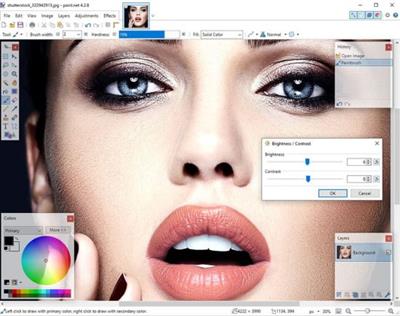 paint.net v5.1 Beta  (Build 9004)