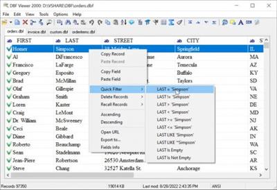 DBF Viewer 2000 v8.45  Multilingual