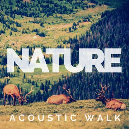 VA - Nature - Acoustic Walk 2024