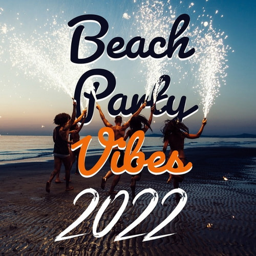 Sex Music Zone - Beach Party Vibes 2022 Ibiza Beach Party Del Mar, Sexy Dance After Dark (2024)