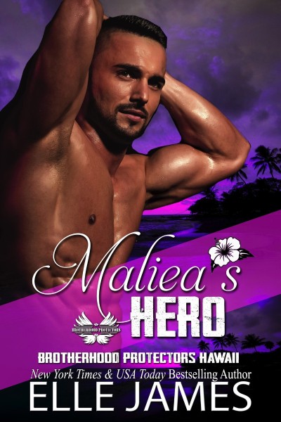 Maliea's Hero - Elle James 3ed2aa671bb6892c1deadebfc1cb3dbb