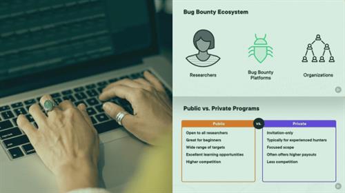 Navigating the Bug Bounty  Industry 7db835719cd3f274320af5e3e56fc8bb