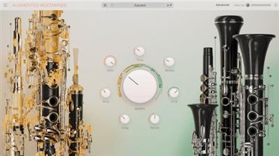 Arturia Augmented WOODWINDS  1.1.1.5024 Fb160fbd2f0dd6be27b6debd9ab201c9