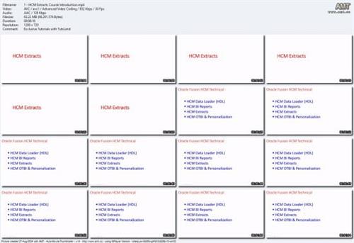 Oracle Fusion Cloud HCM Technical HCM Extracts  R13 -24C