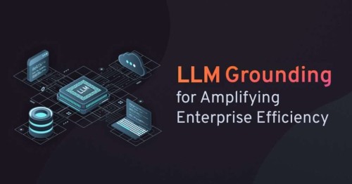 Grounding Techniques For Llms