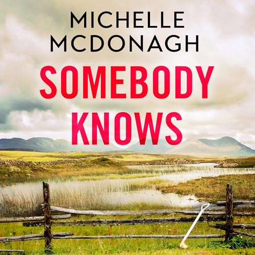 Somebody Knows [Audiobook]