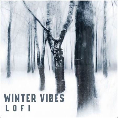 Various Artists - Winter Vibes - Lofi (2024) Mp3 320kbps  79b41174327c5336fdcef0b2bff2344b