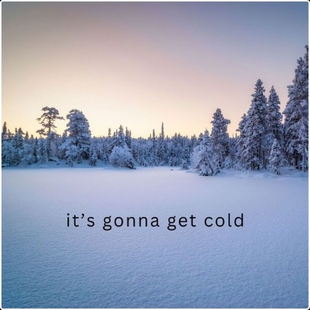 Various Artists - it's gonna get cold (2024) Mp3 320kbps  2cd34c54ade971ed49848df91cb51661