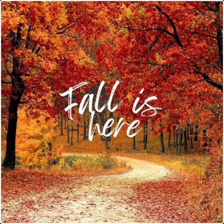 Various Artists - fall is here (2024) Mp3 320kbps  Fe3cff5a23f011088edf17d22394f56a