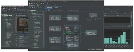 DbVisualizer Pro 24.2.2 (x64)