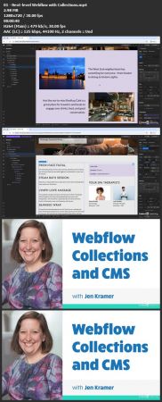 Webflow Collections and CMS  (2024)