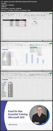 Excel for Mac Essential  Training (Microsoft 365) (2024) F5ffc197229f4f2837fbdc971e5685cb