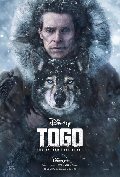 Togo Der Schlittenhund 2019 German AC3 DL BDRip H264-Setis66