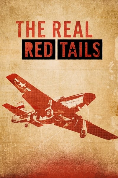 The Real Red Tails (2024) 1080p WEBRip DDP 5 1 8bit H 265-iVy Ffd5feb6f3046e245ab86a9551762365