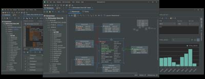 DbVisualizer Pro 24.2.2  (x64) 04799507940bfcdc1935f3e79aee7fa9