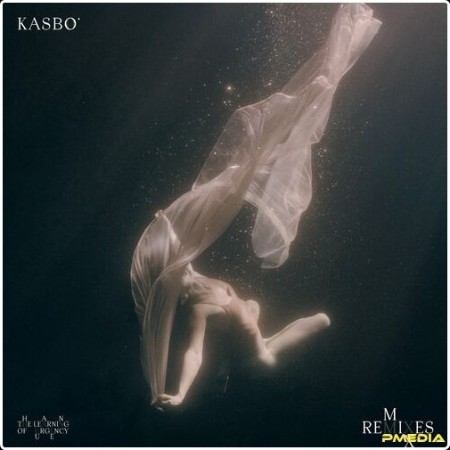 Kasbo - The Learning of Urgency Remixes (2024) Mp3 320kbps  A05256f333f2f0ee3ee5cb72d1d6d6ad