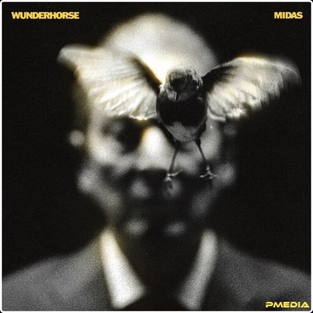 Wunderhorse - Midas (2024) Mp3 320kbps  Fc4a238f170b71170604a6c9f7934cb1