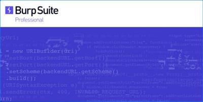 Burp Suite Professional  2024.7.5