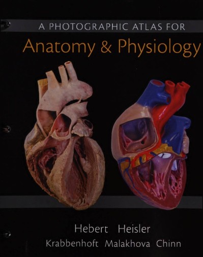 A Photographic Atlas for Anatomy & Physiology / Edition 1 - Nora Hebert 31836db0f092a6b150f6ab637d7b94de