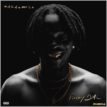 Fireboy DML - adedamola (2024) [24Bit-48kHz] FLAC  F1fc64e3bb258636fd7614b4a1a005df