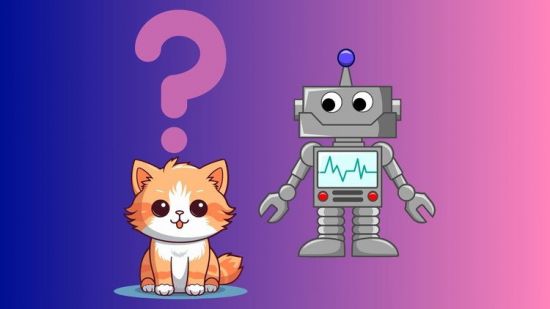 Build Your Own Chat Bot From Scratch