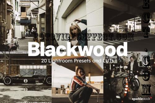 20 Blackwood Lightroom Presets LUTs - 283079253